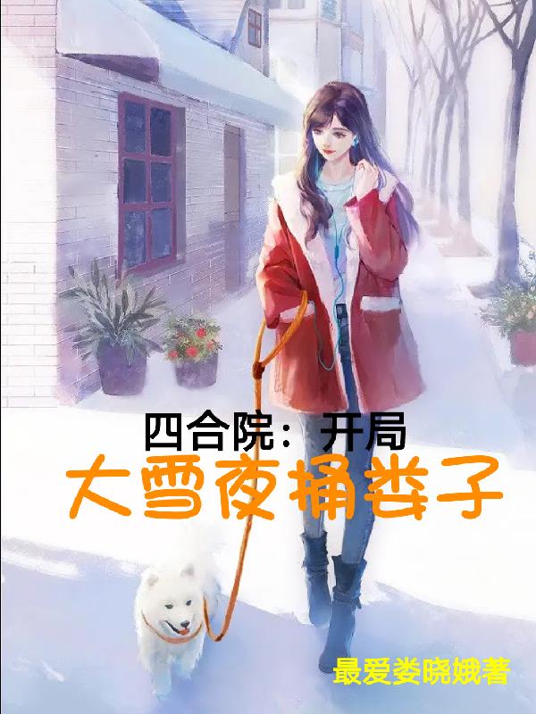 四合院开局大雪夜捅娄子